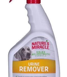 9597