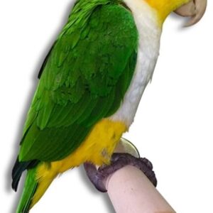 8301