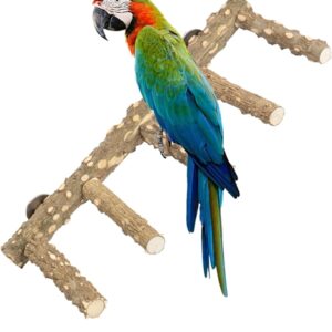 9676