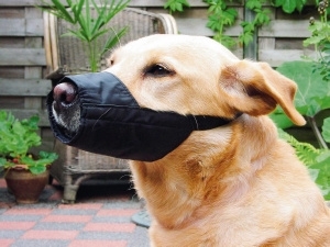 8794