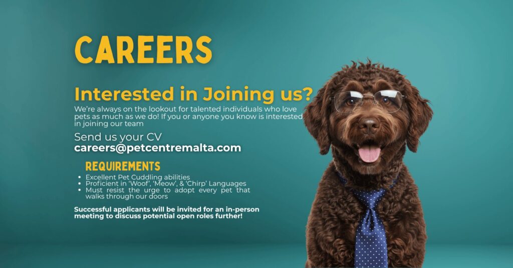 Career opportunities at Pet Centre Mellieha Malta. Work with us